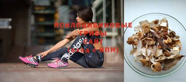 spice Абинск