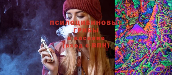 ГАЛЛЮЦИНОГЕННЫЕ ГРИБЫ Абаза