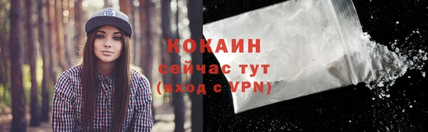 ГАЛЛЮЦИНОГЕННЫЕ ГРИБЫ Абаза