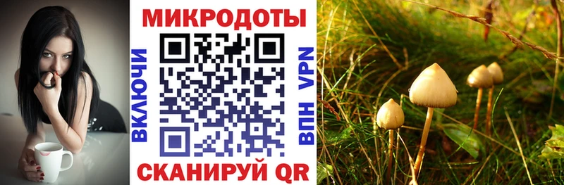 Псилоцибиновые грибы ЛСД  Новочебоксарск 